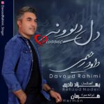 دانلود آهنگ داود رحیمی دل دیوونه